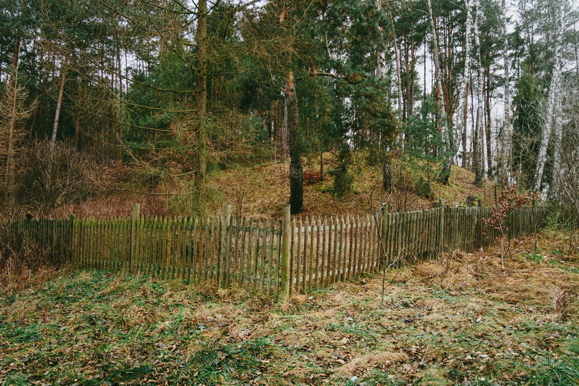 Ilustracja symbolizująca bezpieczne schronienie, z tekstem 'miejsca doraźnego schronienia Raciąż' w tle.